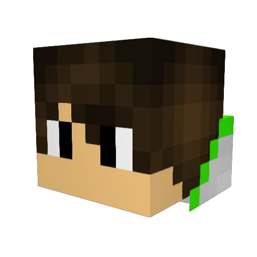 Daniklights Minecraft avatar head, 3D render