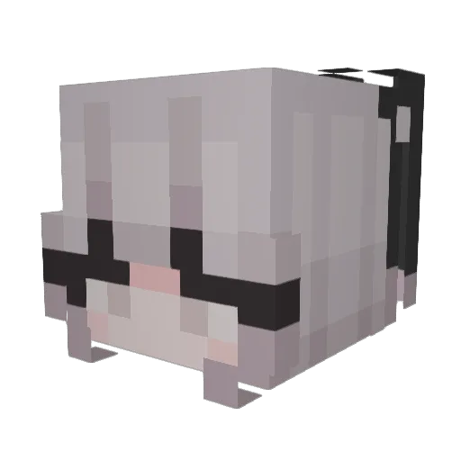 Danil812 Minecraft avatar head, 3D render