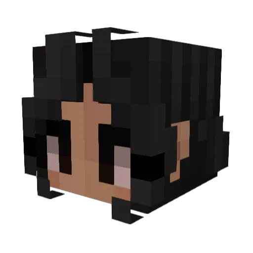 Danil_De_Burgers Minecraft avatar head, 3D render