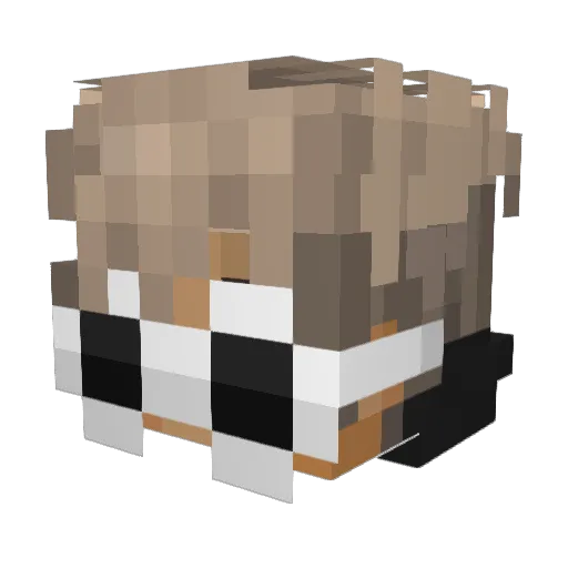 DanilkaPRO Minecraft avatar head, 3D render