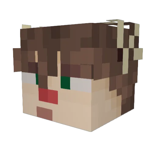 Danim0nte Minecraft avatar head, 3D render