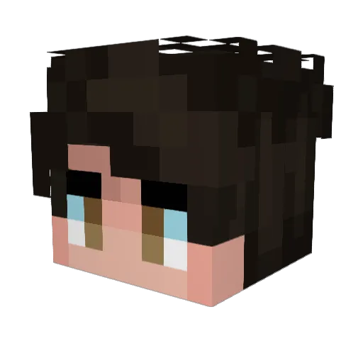 Danimago1 Minecraft avatar head, 3D render
