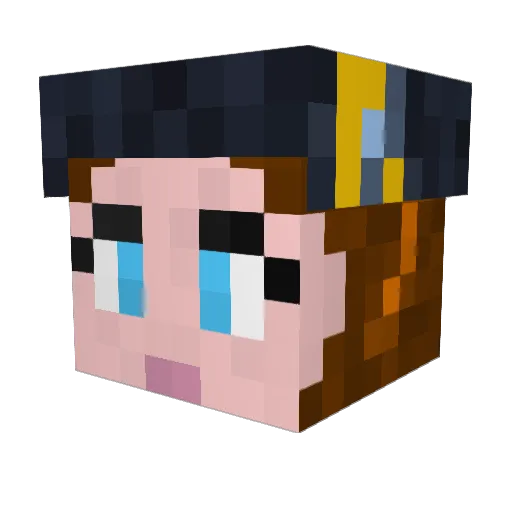 Danimatic Minecraft avatar head, 3D render