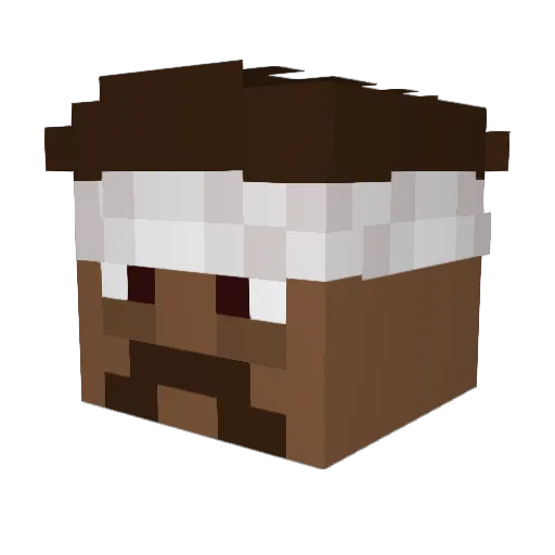DanioManio333 Minecraft avatar head, 3D render