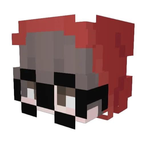 Danirmz181 Minecraft avatar head, 3D render