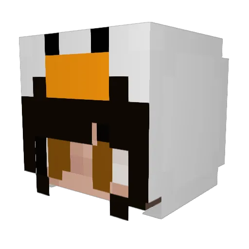 Danisarus Minecraft avatar head, 3D render