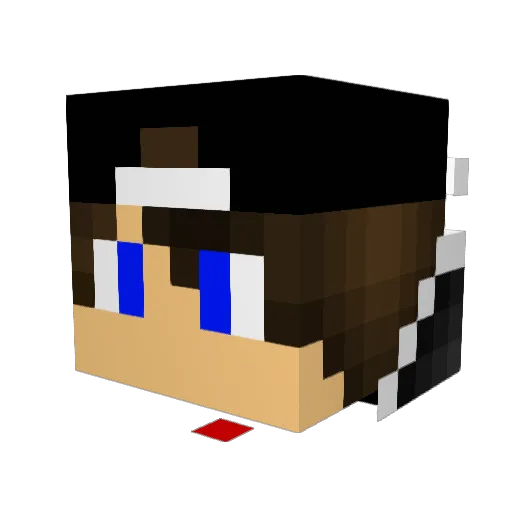 Danish_R Minecraft avatar head, 3D render