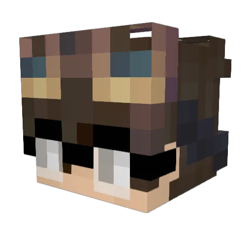 Danivi6502 Minecraft avatar head, 3D render
