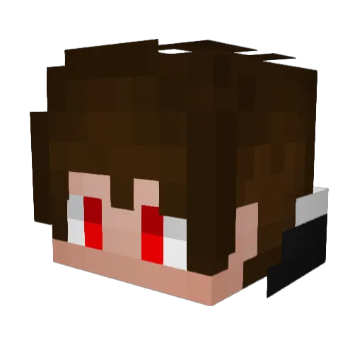 Danix2013 Minecraft avatar head, 3D render