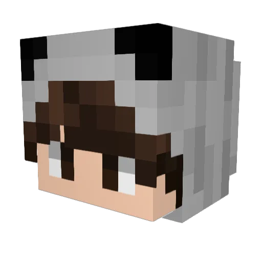 Danix21 Minecraft avatar head, 3D render