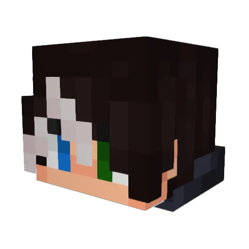 Danix2 Minecraft avatar head, 3D render