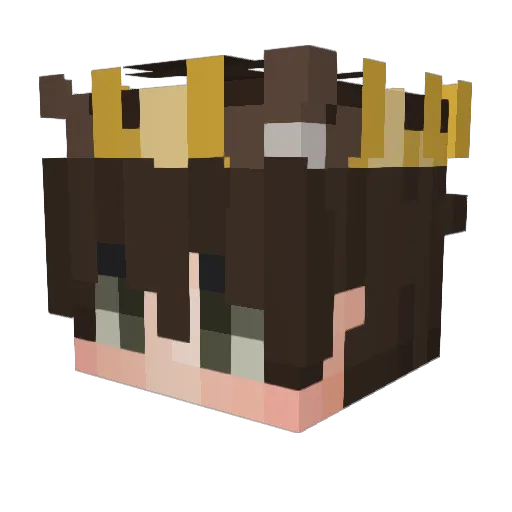 Danixx309 Minecraft avatar head, 3D render