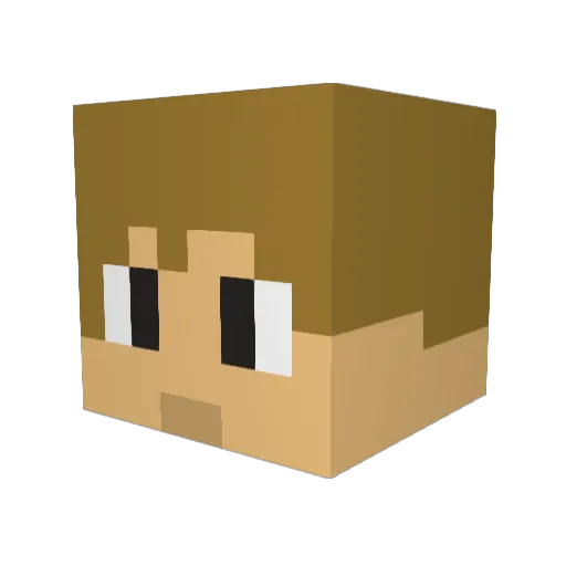 Danj0 Minecraft avatar head, 3D render