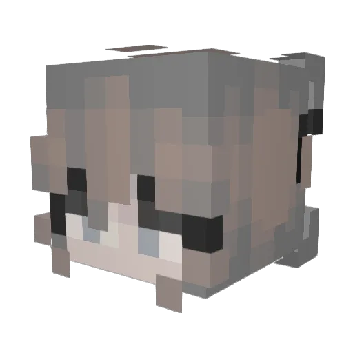 Danjaminzela420 Minecraft avatar head, 3D render