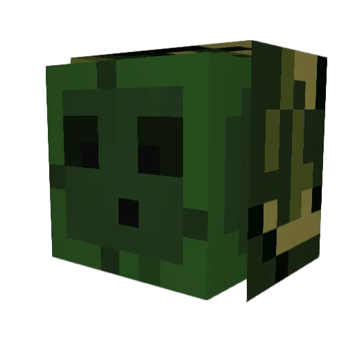 DankAF_ Minecraft avatar head, 3D render
