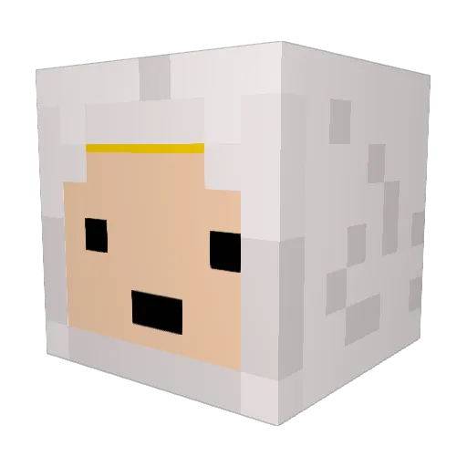 DankD47 Minecraft avatar head, 3D render
