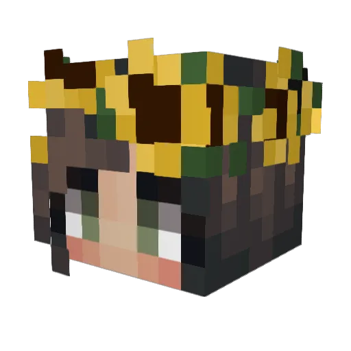 DankDilly Minecraft avatar head, 3D render