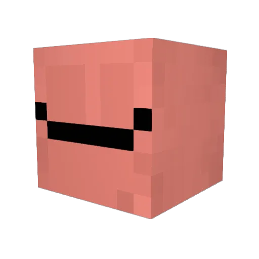 DankFister Minecraft avatar head, 3D render