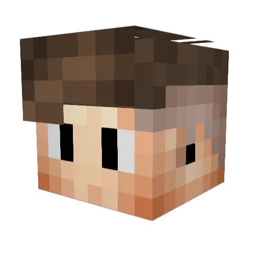 DankIsBae Minecraft avatar head, 3D render