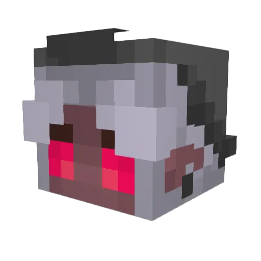 DankKinkajou249 Minecraft avatar head, 3D render