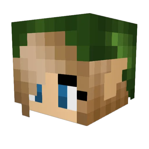 DankKitty10 Minecraft avatar head, 3D render
