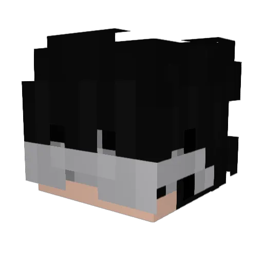 DankMemes900000 Minecraft avatar head, 3D render