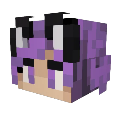 DankNil Minecraft avatar head, 3D render