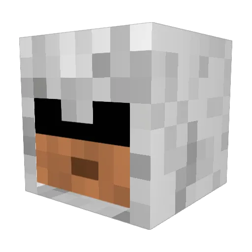DankPossum Minecraft avatar head, 3D render