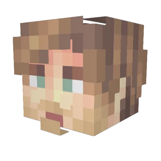 DankSidius Minecraft avatar head, 3D render