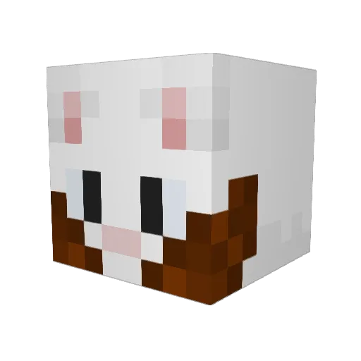 DankStar12548 Minecraft avatar head, 3D render