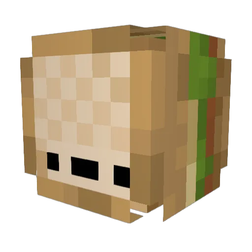 Dank_mickey Minecraft avatar head, 3D render