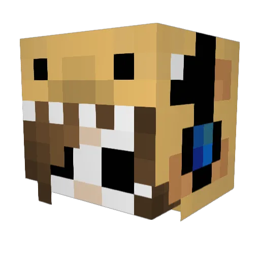 Dankaholic24 Minecraft avatar head, 3D render