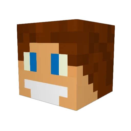 Dankcci Minecraft avatar head, 3D render