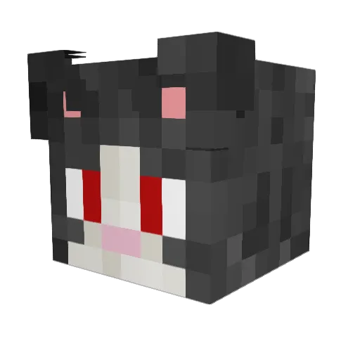 Dankest_Cat Minecraft avatar head, 3D render
