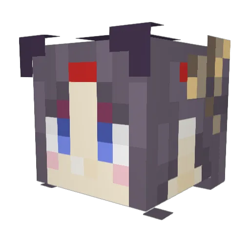 Dankest_Soul Minecraft avatar head, 3D render
