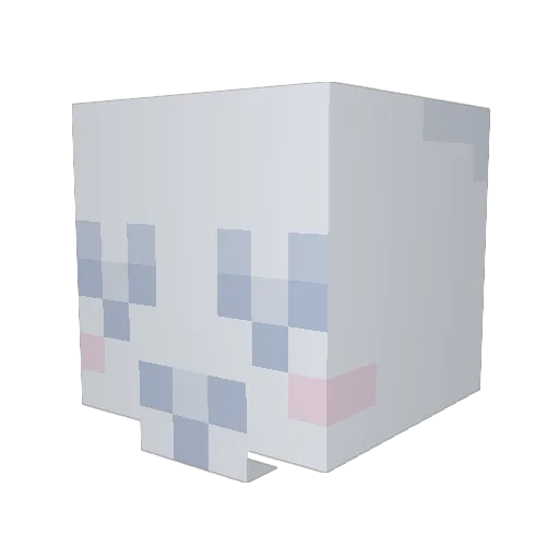 Dankgingersnaps Minecraft avatar head, 3D render