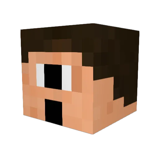Danklage Minecraft avatar head, 3D render