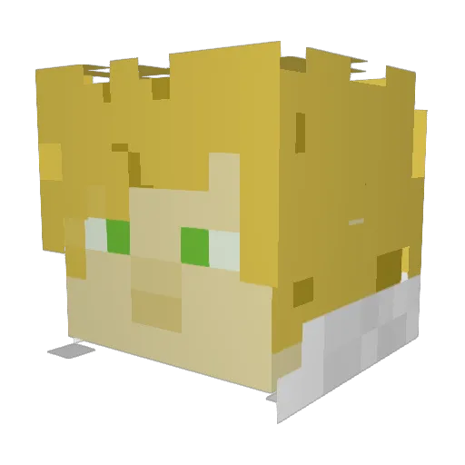 Danko1236 Minecraft avatar head, 3D render