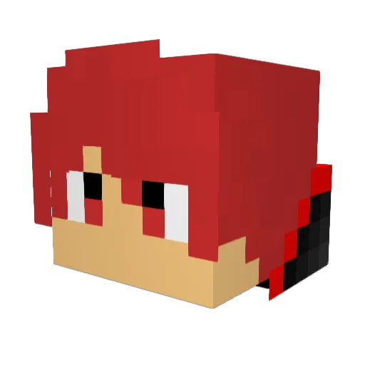 DankoFett2 Minecraft avatar head, 3D render