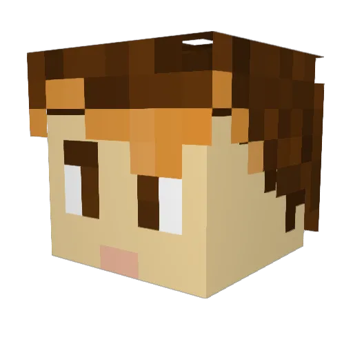 DankoSikula Minecraft avatar head, 3D render