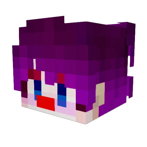DankoTrevi Minecraft avatar head, 3D render