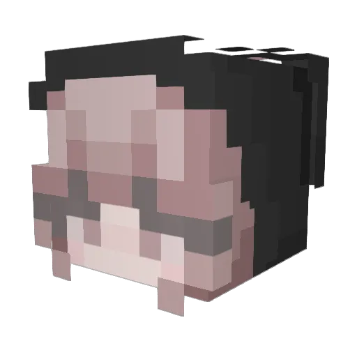 Danksquid56 Minecraft avatar head, 3D render