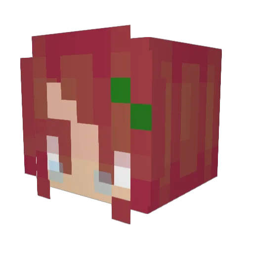Dankube Minecraft avatar head, 3D render