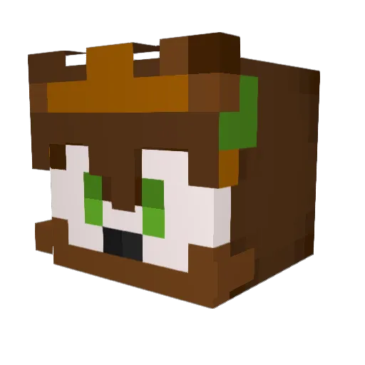 DankusMemus64 Minecraft avatar head, 3D render