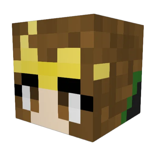 Danky69420 Minecraft avatar head, 3D render
