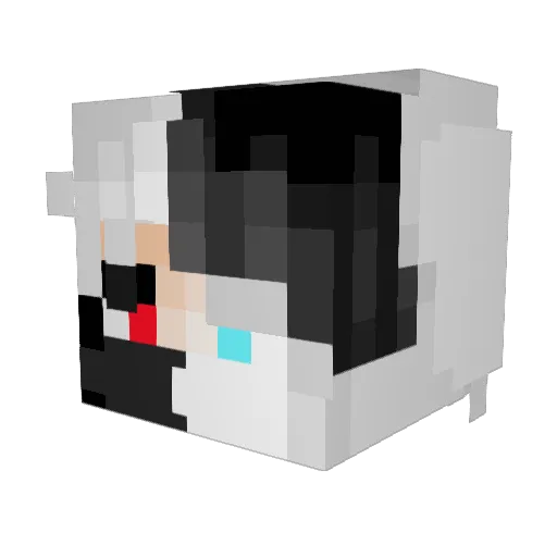 DankyRx Minecraft avatar head, 3D render