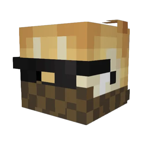 DanleyDanderson Minecraft avatar head, 3D render