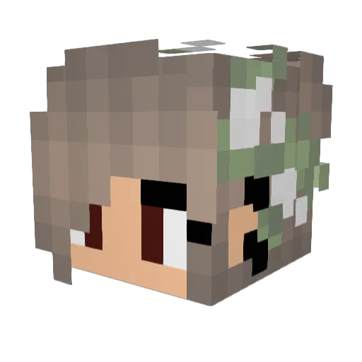 Danmark1610 Minecraft avatar head, 3D render