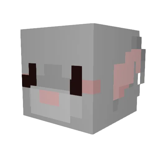 Danmitch7 Minecraft avatar head, 3D render