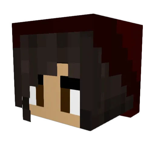 Dannamarrana Minecraft avatar head, 3D render